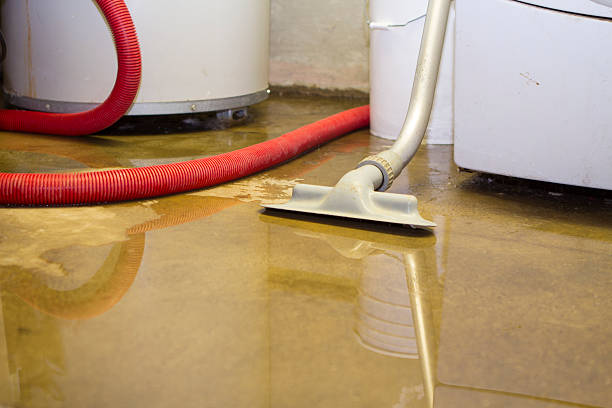 Best Ceiling water damage repair  in Jackson, CA
