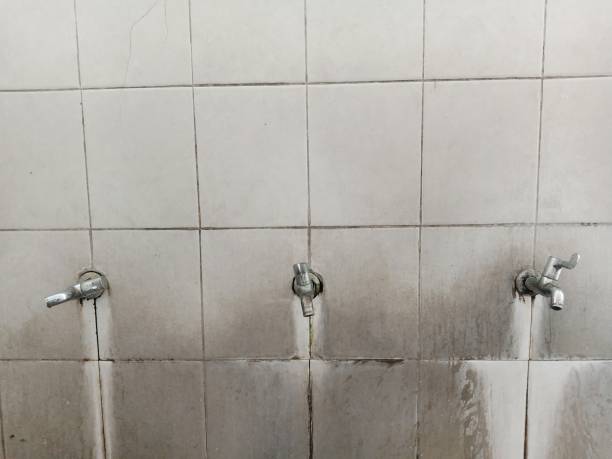 Best Professional water damage repair  in Jackson, CA
