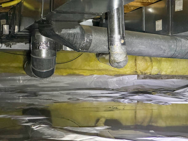 Best Water damage contractors near me  in Jackson, CA
