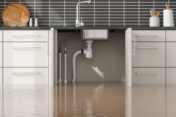 Best Water damage cleanup near me  in Jackson, CA